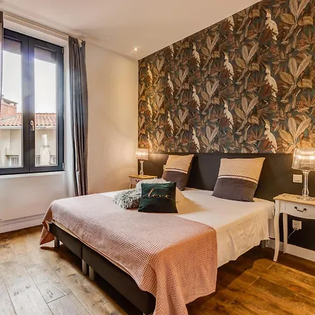 Appartement Henri De Toulouse-lautrec, Standing Albi